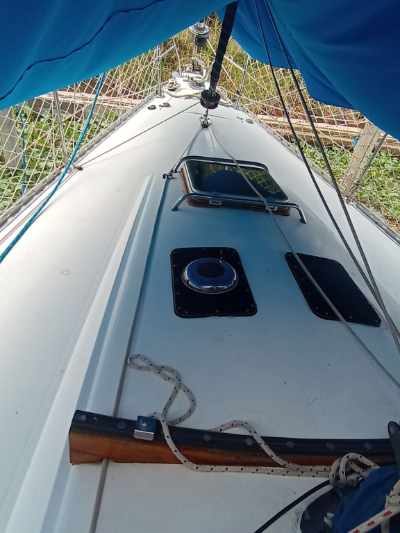 veleros - YATE DE VELA CON MOTOR AUX. - FRERS 40 - RETASADO