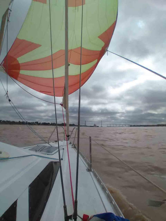 veleros - YATE DE VELA  - COLIBRI 24 