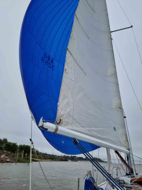 veleros - YATE DE VELA  - COLIBRI 24 