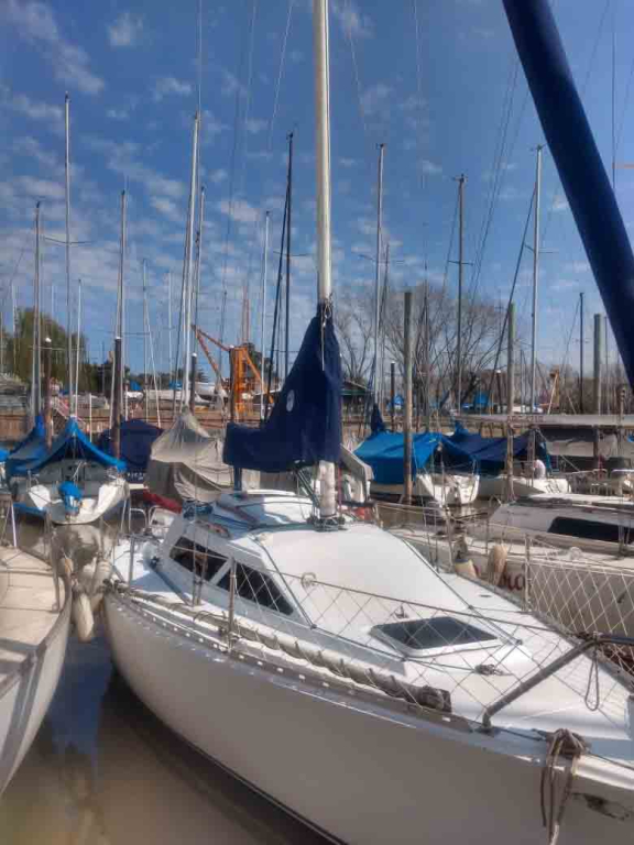veleros - YATE DE VELA  - COLIBRI 24 