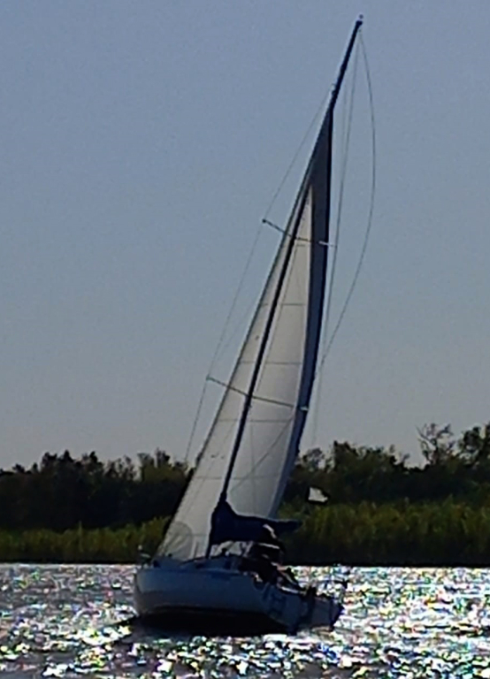 veleros - YATE DE VELA CON MOTOR AUX. - ALBATROS 950