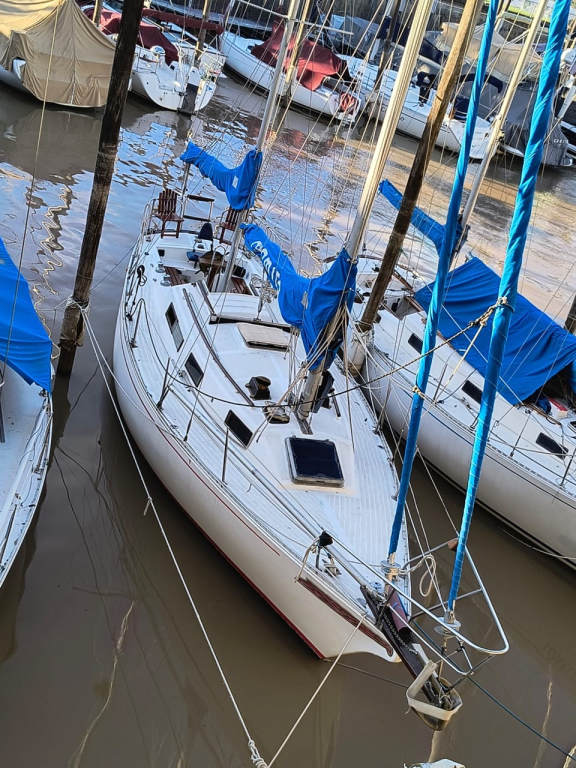 veleros - YATE DE VELA CON MOTOR AUX. - SAILOR 1000