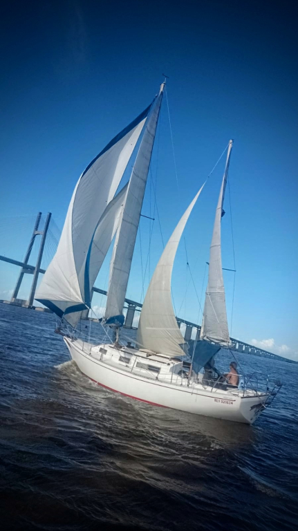 veleros - YATE DE VELA CON MOTOR AUX. - SAILOR 1000